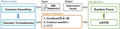 Supervised Brain Tumor Segmentation Based on Gradient and Context-Sensitive Features